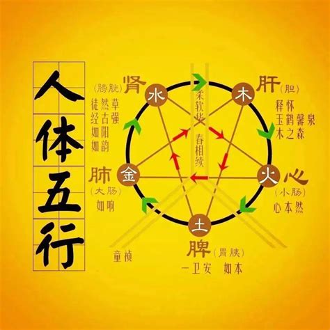 火多木焚|“五行相克”，分别是什么克什么？